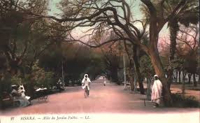 Biskra - L’Association Biskra la Verte (ABV) victime d’un deuxième cambriolage