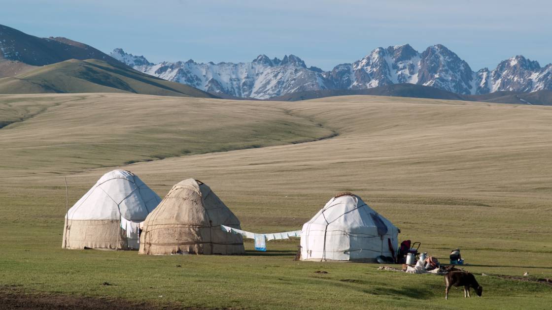 Planète - Asie: Au Kirghizistan, le bonheur est dans le pâturage d'été