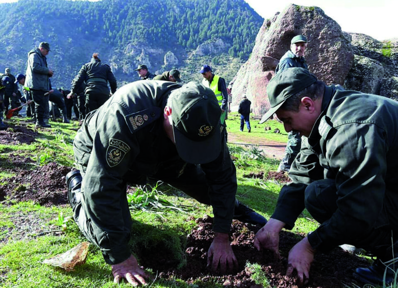Reconstitution du patrimoine forestier de la wilaya de Bouira: Lancement d’un programme de plantation de 1.000 hectares