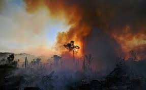 Planète - Amérique du Sud: Argentine, Bolivie… La région touchée par une sécheresse et des incendies sans précédent
