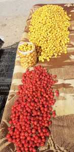 Le  Zaârour  (azérole) et ses vertus thérapeutiques