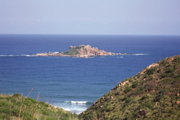 Algérie - PARC NATIONAL DE GOURAYA (BÉJAÏA): L’impérative protection du versant maritime