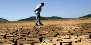 Algérie (Région de l'Oranie) - Déficit en pluviométrie: L'agriculture au bord du sinistre