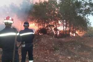Algérie - ALORS QUE 21 FEUX DE FORÊT ONT ÉTÉ ENREGISTRÉS DURANT SES DERNIÈRES 48H: Poursuite des opérations d'extinction des incendies au niveau de 10 wilayas