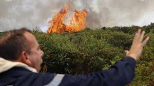 Algérie - Deux morts et des centaines d'hectares ravagés: Nuit cauchemardesque dans une dizaine de wilayas