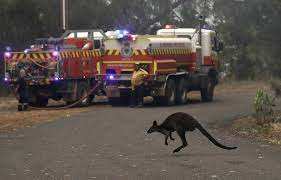 Planète (Océanie) - Incendies en Australie: Une catastrophe écologique déjà bien réelle