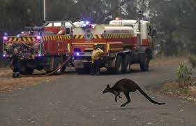 Planète (Océanie) - Incendies en Australie: Une catastrophe écologique déjà bien réelle