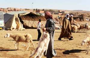 Algérie - NAÂMA: Sale temps pour les éleveurs