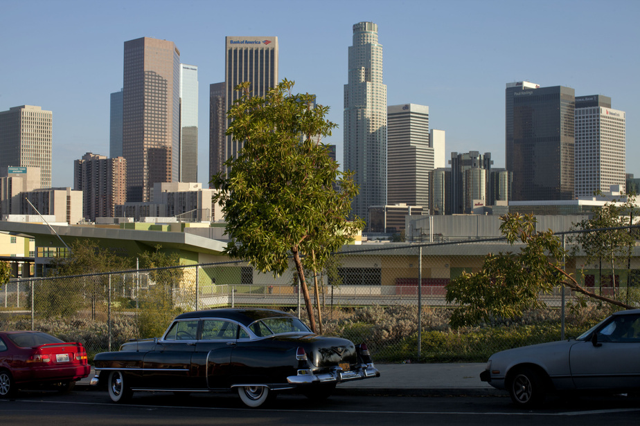 Planète (Amérique du Nord) - Etats Unis: Los Angeles s'allie à Google pour cartographier ses arbres et lutter contre la chaleur
