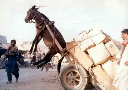 Il était une fois : un village colonial, des fontaines, des hommes, des bêtes
