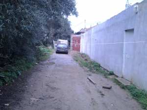 Mon Voisin trop désinteresé ?