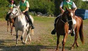 Tiaret - Retour à la case départ pour l'association dédiée au cheval