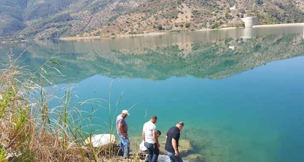 Pêche préventive à Tlemcen : Capture de 11 tonnes de poissons