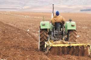 Algérie - AGRICULTURE À MÉDÉA: Les précipitations redonnent espoir aux céréaliculteurs