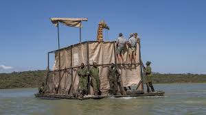 Planète (Afrique) - Au Kenya, délicate opération pour sauver des girafes piégées sur une île