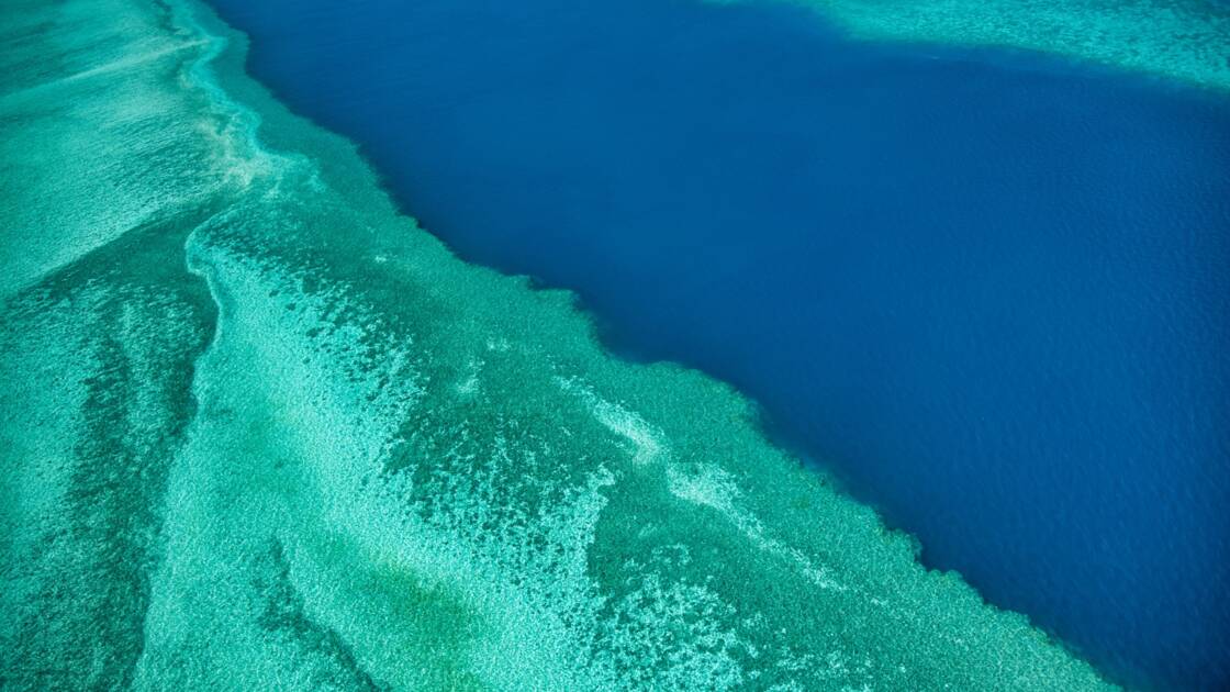 Planète - Une centaine de chefs-d'oeuvre de la nature en danger à cause du changement climatique