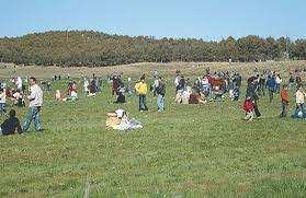 La forêt de Boumergued : Un poumon qui respire mal