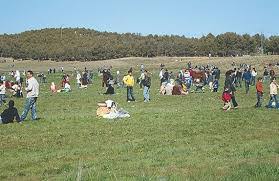 La forêt de Boumergued : Un poumon qui respire mal