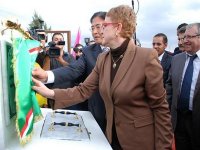 Pose à Ouled Fayet de la première pierre de l'Opéra d'Alger