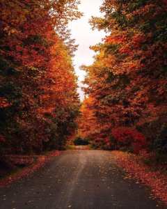 اليأس كلمة لا علاقة لها بالعمر