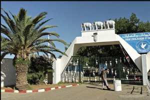 Alger - Parc zoologique et d’attractions de Ben Aknoun: Des élus apw appellent à la création d’un statut particulier