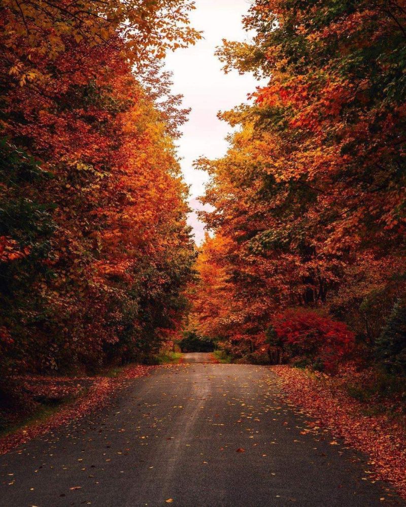 اليأس كلمة لا علاقة لها بالعمر