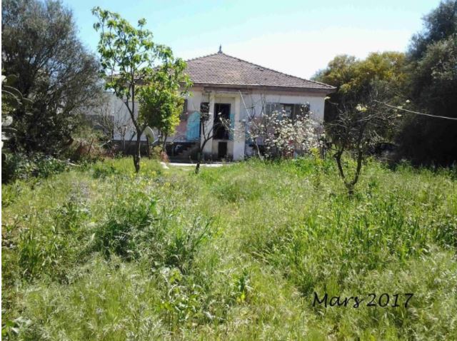 Au Cadastre de Babezzouar