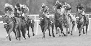 Hippodrome de Zemmouri (Boumerdès): Un joyau en proie au bradage et à la prédation foncière