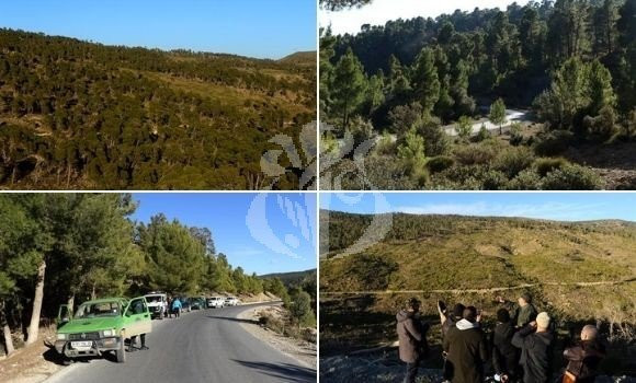 Toufik Lemoufek expose ses plus beaux clichés de la faune des Aurès