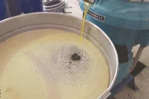 Algérie - CULTURE DE L’OLIVIER AU SUD DU PAYS: Les agriculteurs de M’sila, de Djelfa et de Laghouat s’invitent aux huileries de Sétif