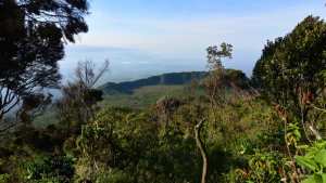 Planète/Afrique - RDC: six gardes tués lors d'une attaque dans le parc national des Virunga
