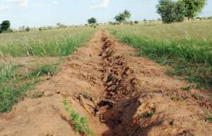 Planète/Afrique - Grande muraille verte: Où en est ce projet pharaonique pour le Sahel ?