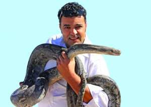 Algérie - Djamel Hadj Aïssa, Le photographe attitré des oiseaux