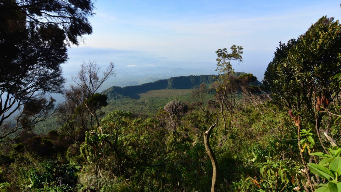 Planète/Afrique - RDC: six gardes tués lors d'une attaque dans le parc national des Virunga