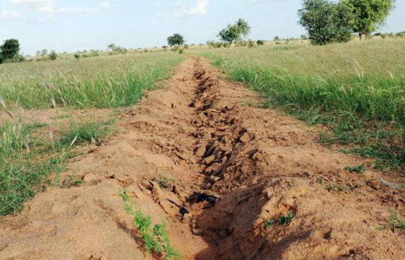 Planète/Afrique - Grande muraille verte: Où en est ce projet pharaonique pour le Sahel ?