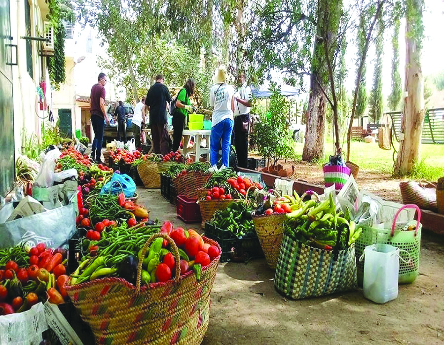 Douéra (Alger) - L’agroécologie, l’autre agriculture