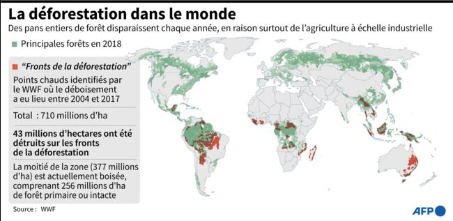 Planète - Déforestation: 43 millions d'hectares perdus sur les principaux 