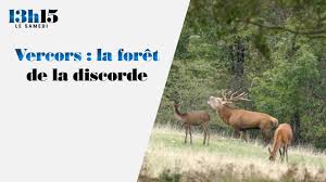 Planète/Europe/France - Biodiversité: comment une association transforme un ancien domaine de chasse dans le Vercors en 