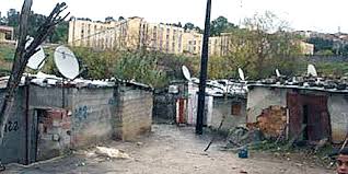 Bordj El Kiffan (Alger) - Forêt de Ben Mered: Un bidonville planté au milieu du site