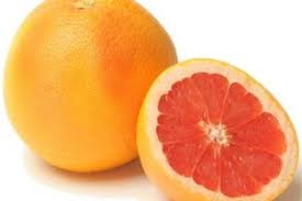 Culture du pamplemousse royal à Oran : Une expérience réussie