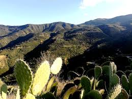 Béjaïa - Mine de zinc et de plomb de Tala Hamza: WMZ appelle les citoyens au dialogue