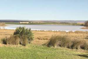 Hammam Bou-Hadjar (Aïn Témouchent) - Vers le classement de la zone humide de Douaïma