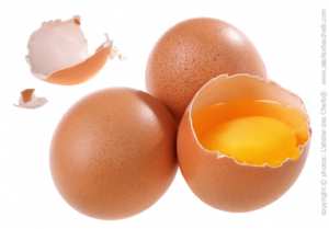 Tout savoir sur les oeufs