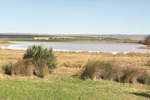 Hammam Bou-Hadjar (Aïn Témouchent) - Vers le classement de la zone humide de Douaïma