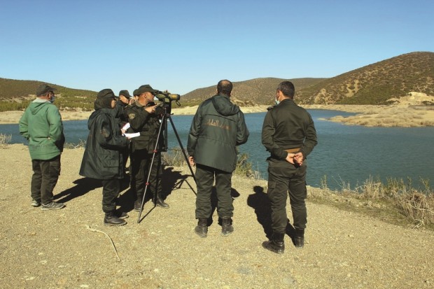 Wilaya de Médéa - Campagne de recensement hivernal des oiseaux migrateurs
