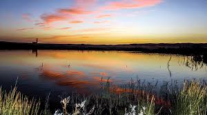 Algérie - Menaces sur la biodiversité de la zone humide de la Macta (Mascara)