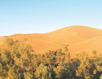 Ksours, palmeraies, dunes, rocaille et pierres                                    Quand le Sud nous fait «perdre le nord»'
