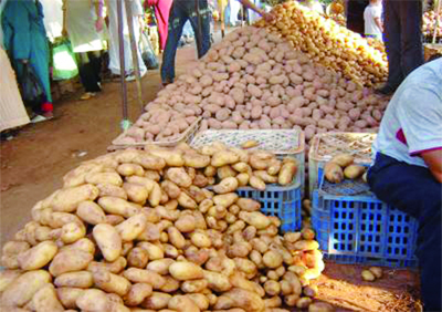La pomme de terre à 120 DA le kg, qui dit mieux '
