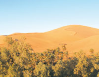 Ksours, palmeraies, dunes, rocaille et pierres                                    Quand le Sud nous fait «perdre le nord»'
