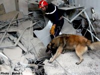 Man'uvre régionale de simulation d'intervention en cas de séisme à Biskra                                    Protection civile